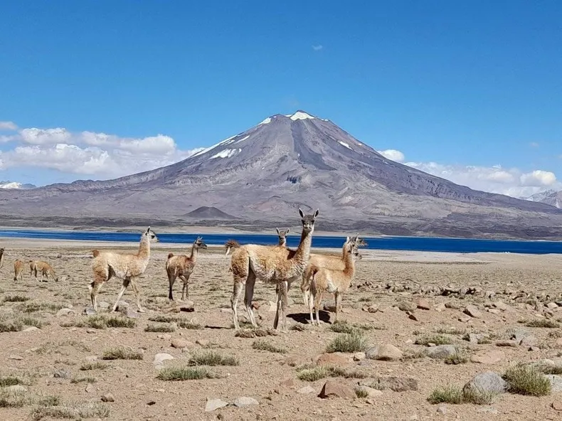Winetrek Experiences - Turismo en Mendoza